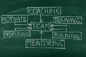 pagePicTeamCoaching